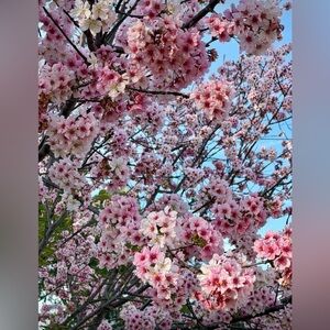 Beautiful Travel, Nature, Sunrise and Sunsets.